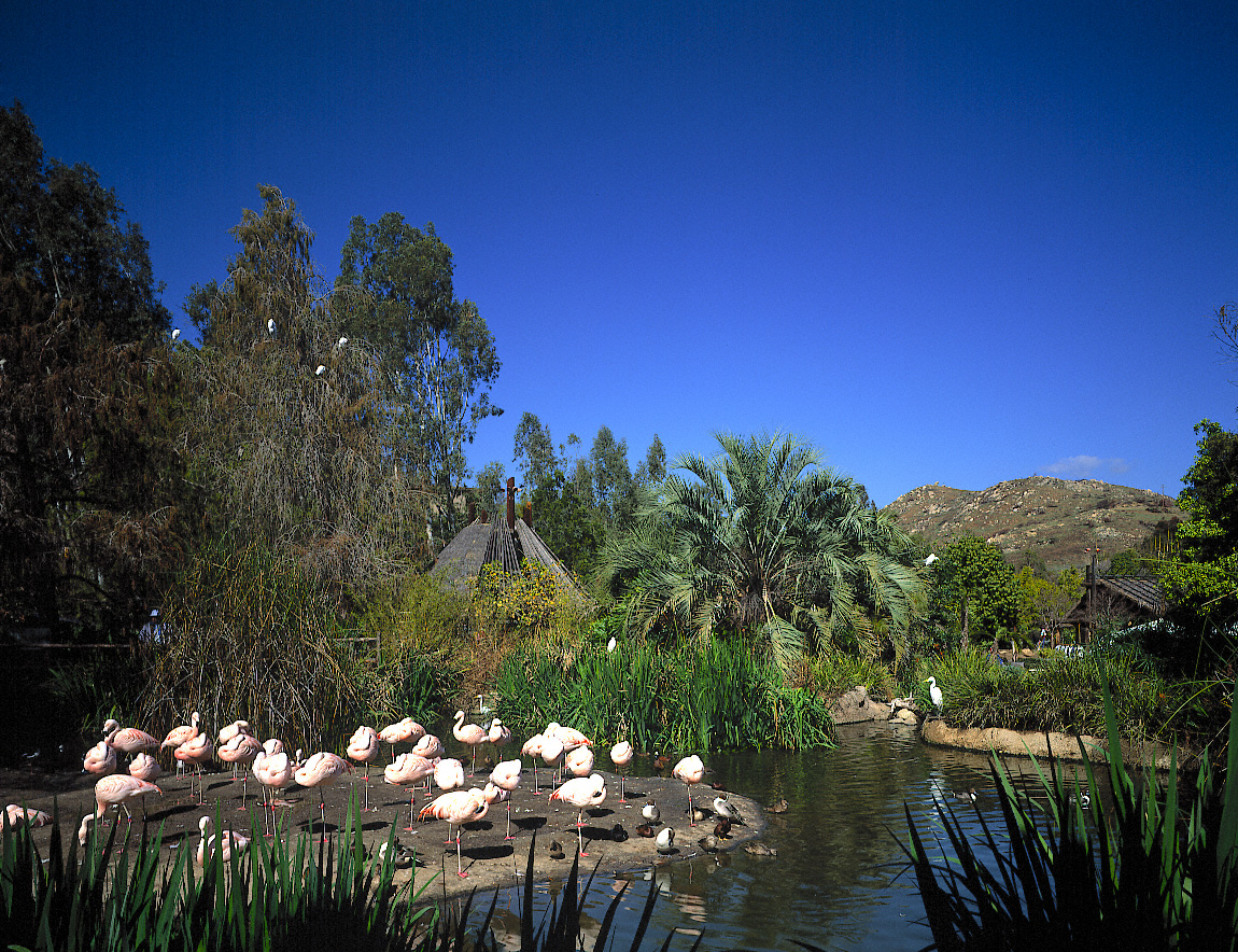 San Diego Wild Animal Park