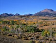 Fall Color on the Walker River, California