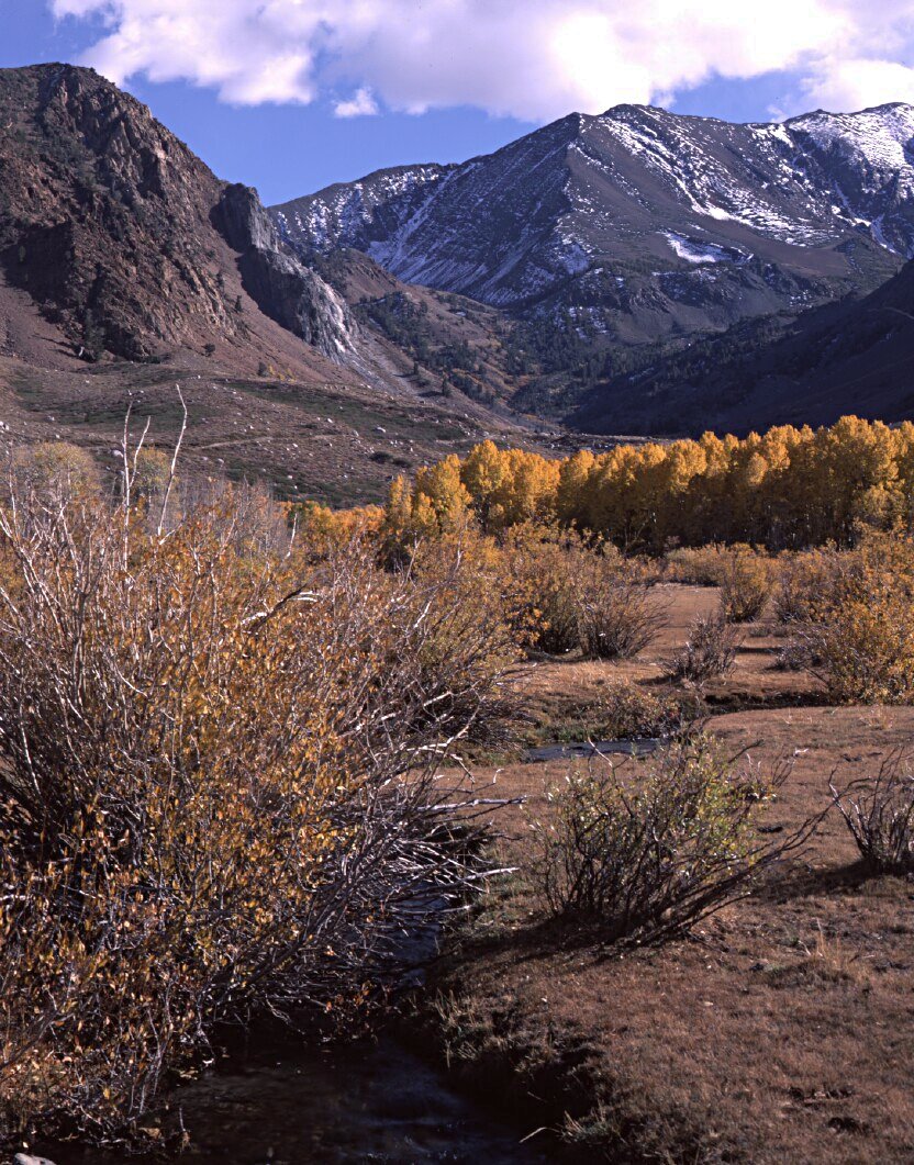 Laural Canyon Near Mammoth Lakes, California