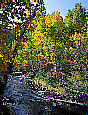 Lee Vining Creek and aspen trees in autumn, near Lee Vining, California