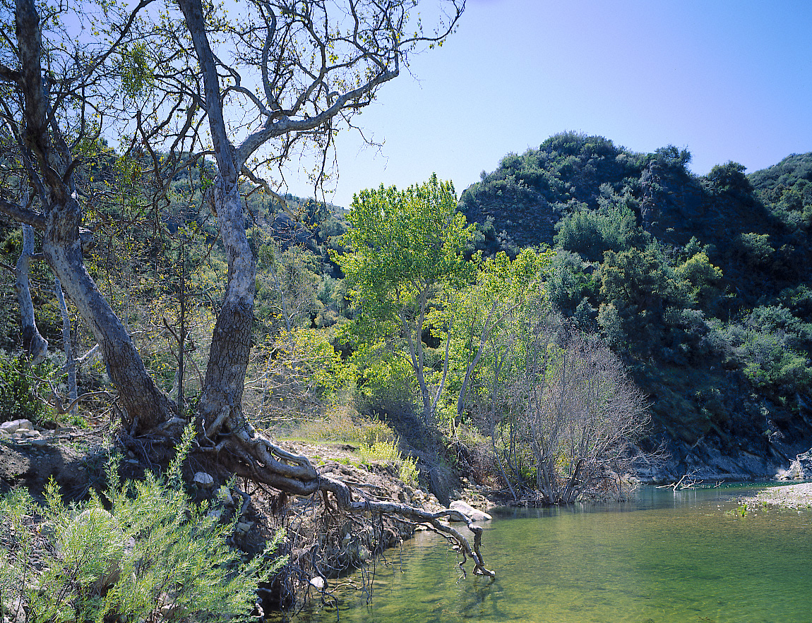 Santa Ynez River Near Santa Barbara, California
